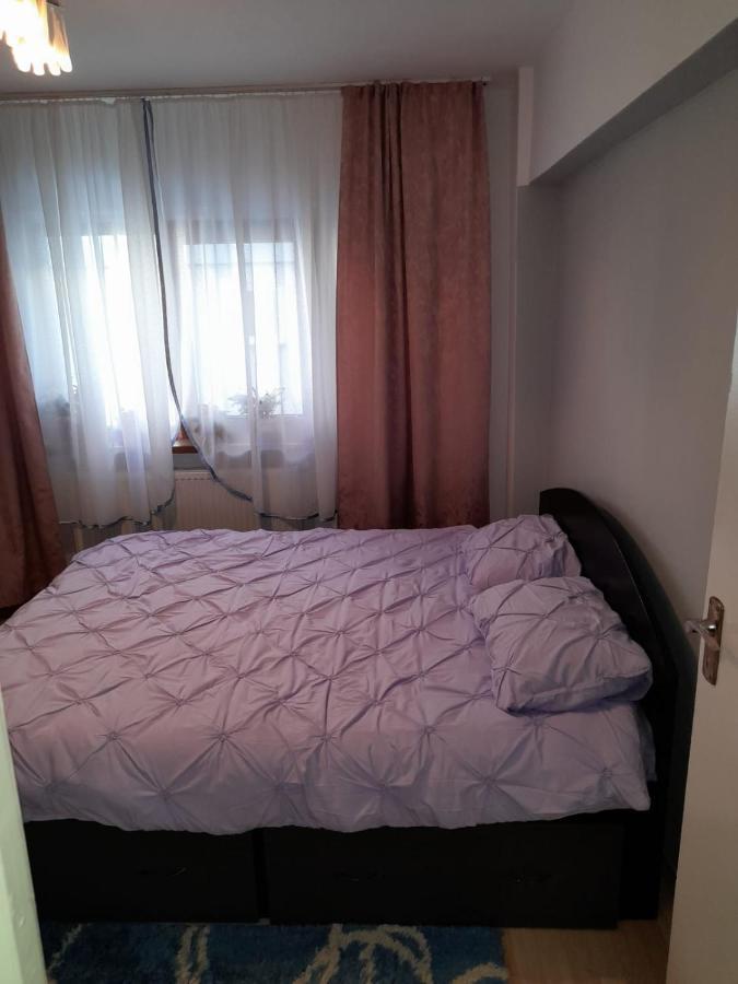 Lupeni  Apartament Straja - מראה חיצוני תמונה