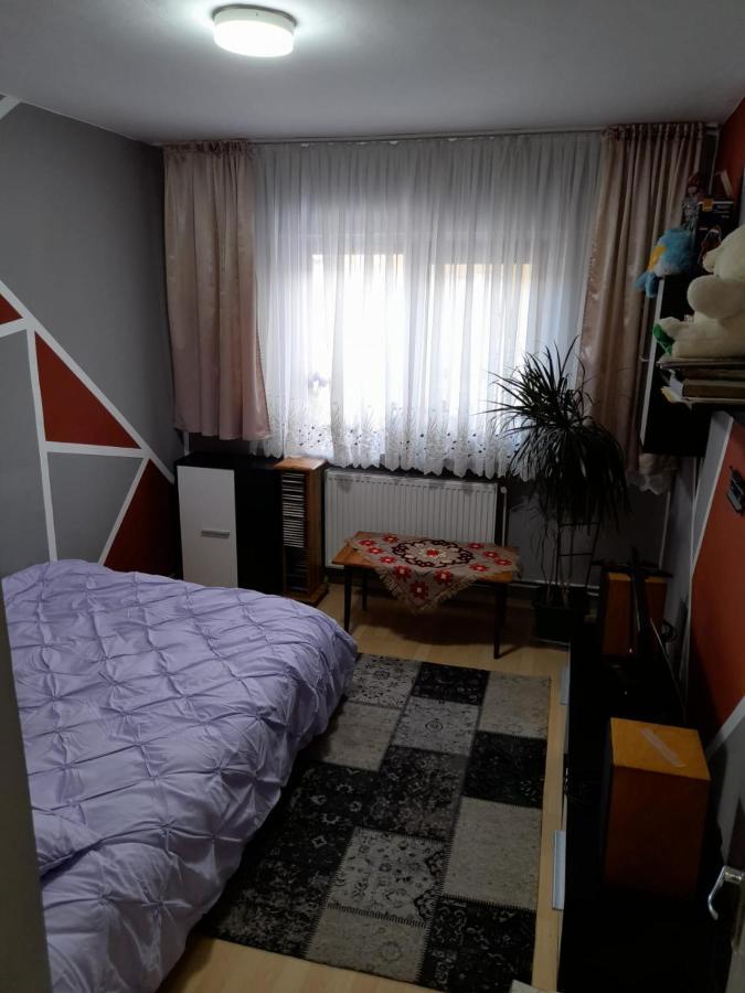 Lupeni  Apartament Straja - מראה חיצוני תמונה